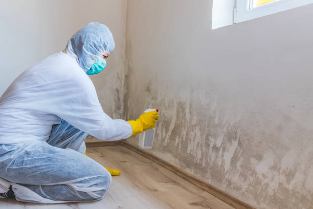 Crawl Space Mold Remediation treatment of floor joists in Hazlet